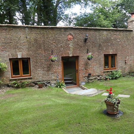 The Potting Shed Apartman Little Torrington Kültér fotó